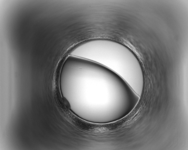X0000096670203200802051016