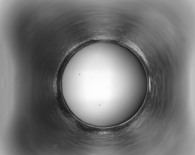 X0000096670204200802051016