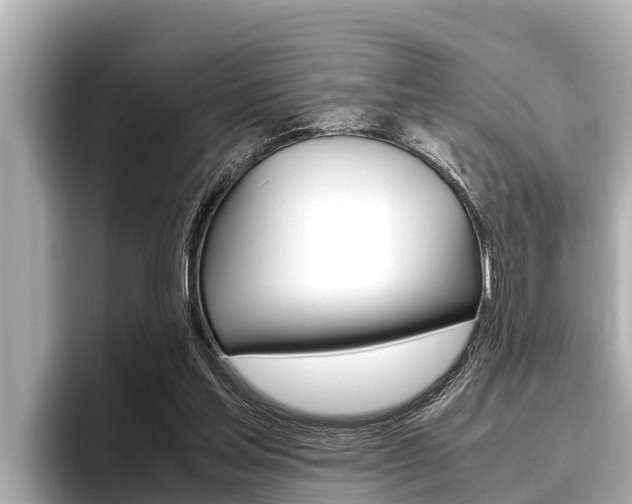 X0000096670205200802051016