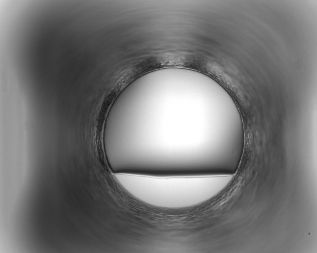 X0000096670209200802051016