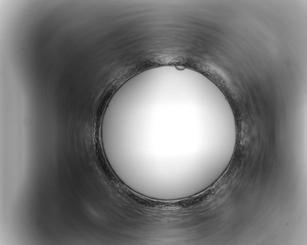 X0000096670210200802051016