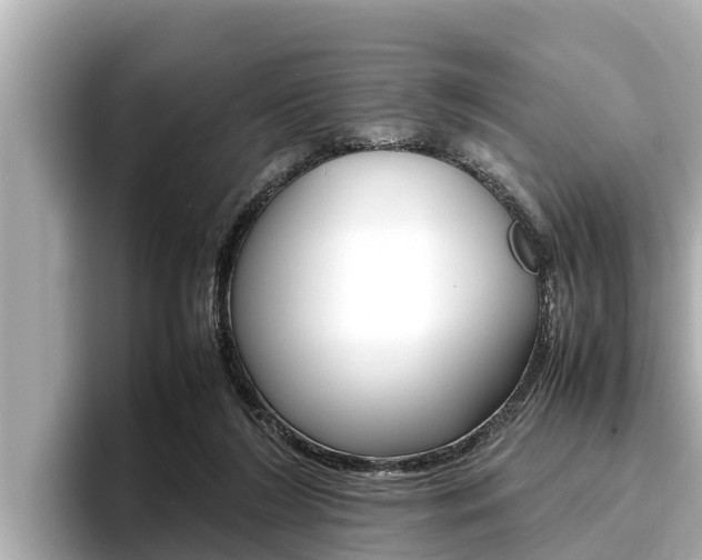 X0000096670212200802051016
