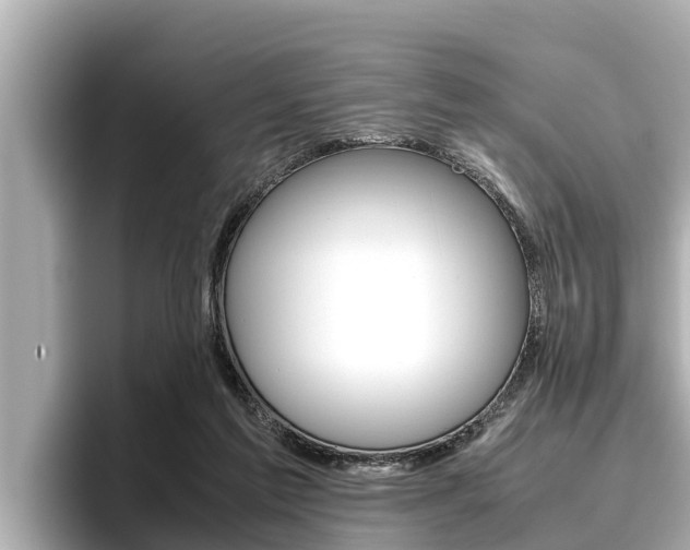 X0000096670213200802051016