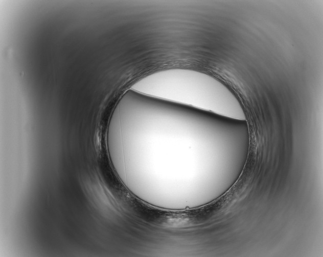 X0000096670214200802051016