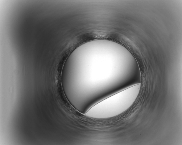 X0000096670215200802051016
