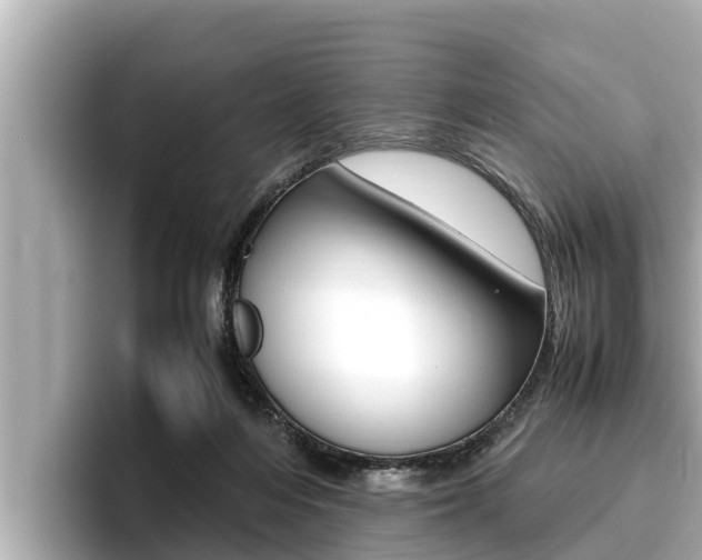 X0000096670216200802051016
