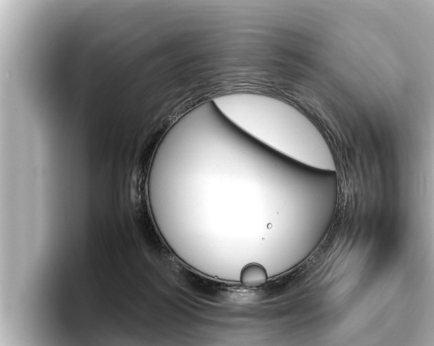 X0000096670218200802051016