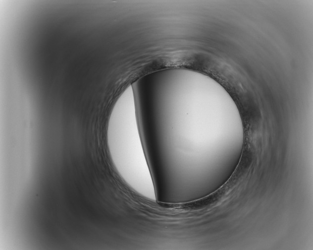 X0000096670219200802051016
