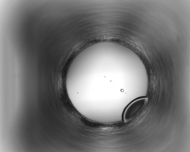 X0000096670220200802051016