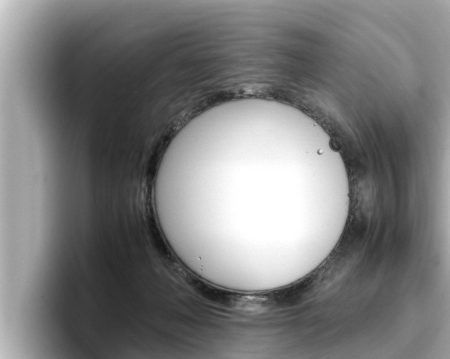 X0000096670222200802051016