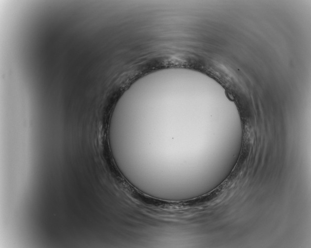 X0000096670223200802051016