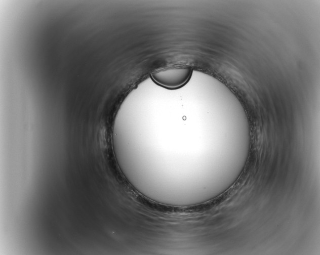 X0000096670224200802051016