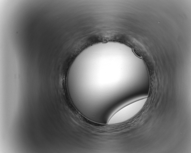 X0000096670225200802051016