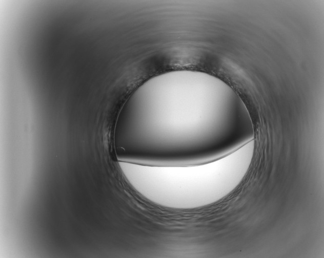 X0000096670227200802051016