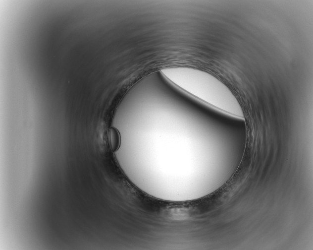 X0000096670228200802051016