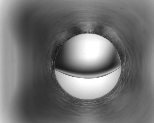 X0000096670229200802051016