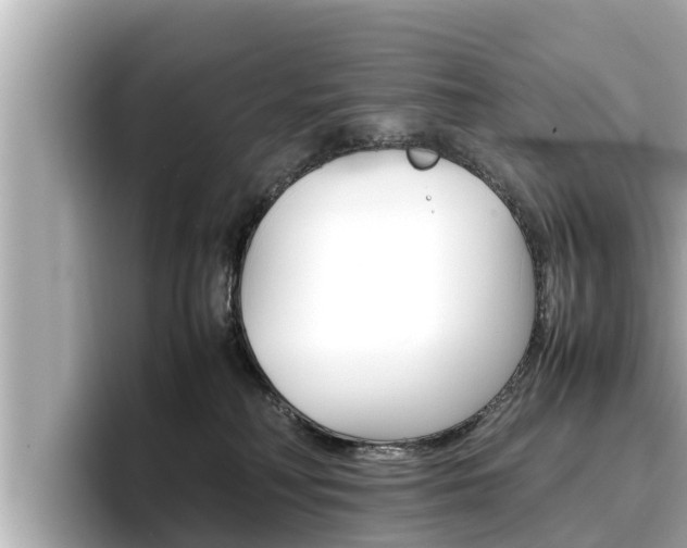 X0000096670230200802051016
