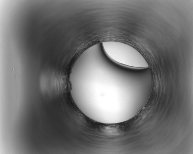 X0000096670232200802051016