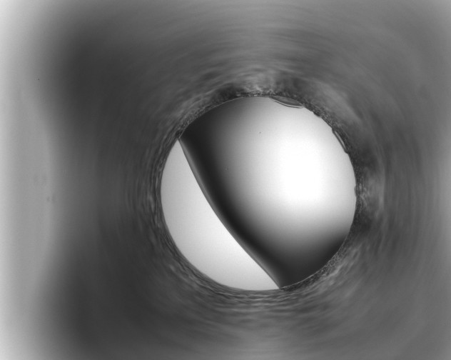 X0000096670233200802051016
