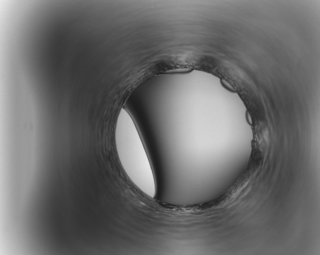 X0000096670235200802051016