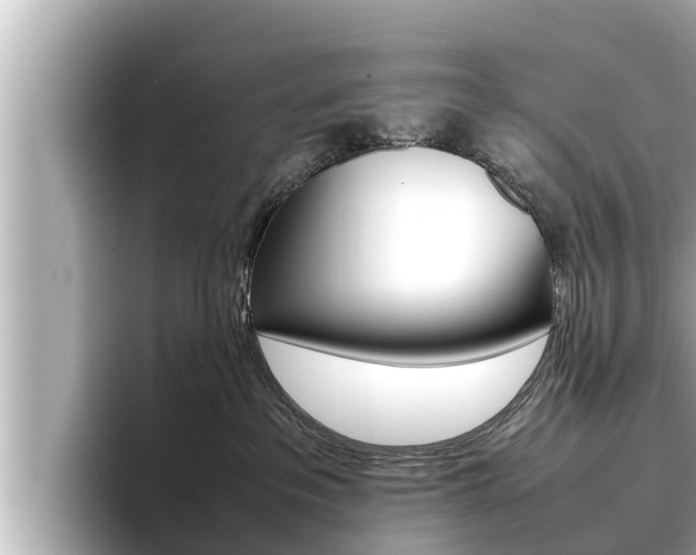 X0000096670237200802051016