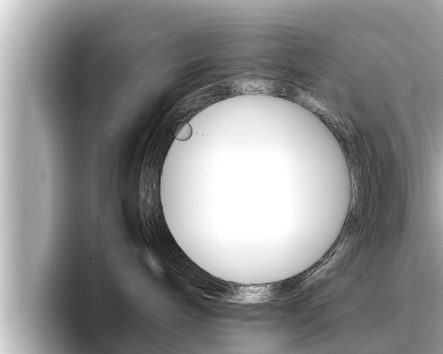 X0000096670240200802051016