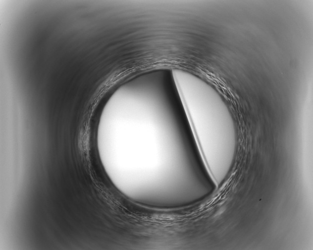 X0000096670242200802051015