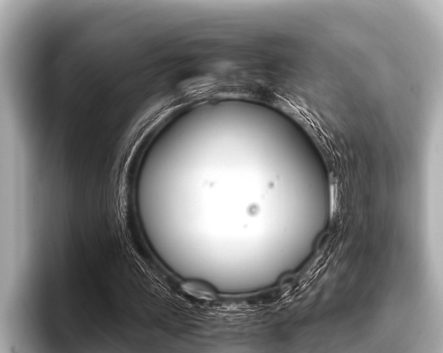 X0000096670243200802051015