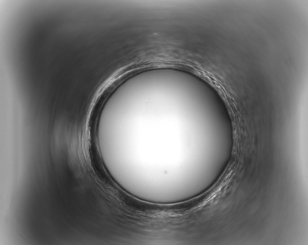 X0000096670246200802051015