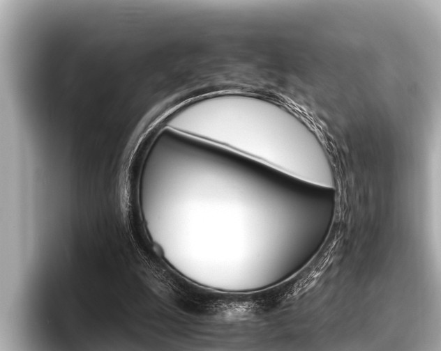 X0000096670247200802051015