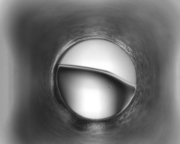 X0000096670248200802051015