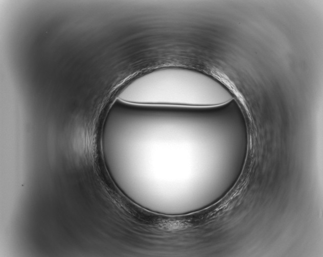X0000096670249200802051015