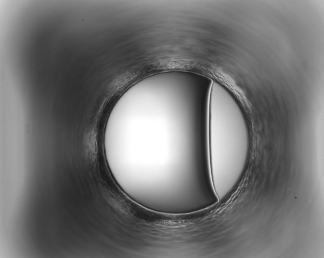 X0000096670250200802051015
