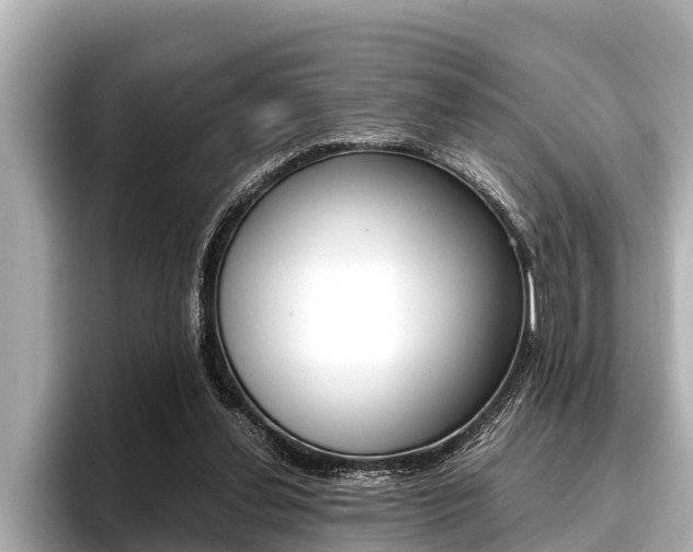 X0000096670252200802051015
