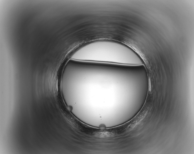 X0000096670253200802051015