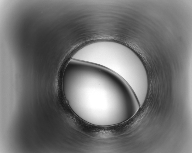 X0000096670256200802051015