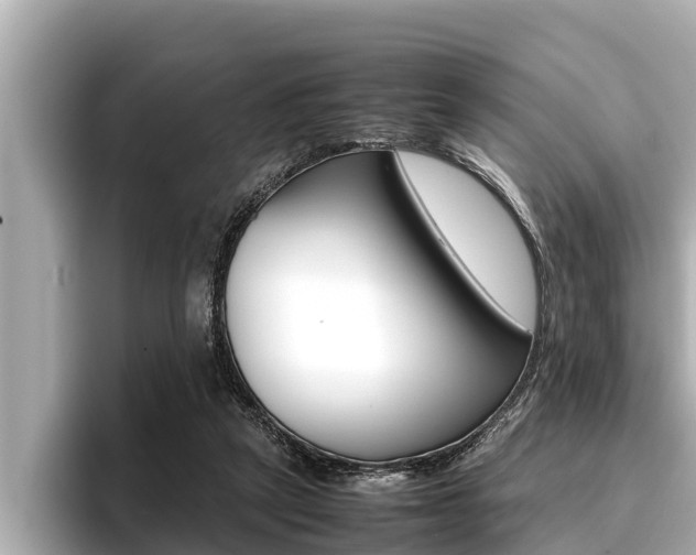 X0000096670257200802051015