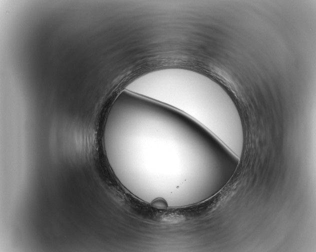 X0000096670258200802051015