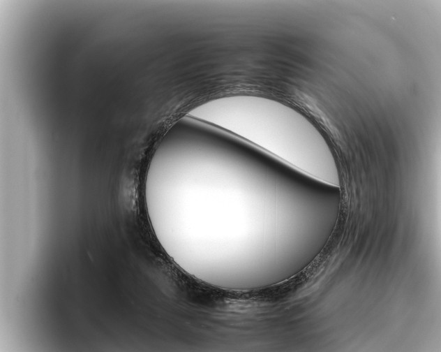 X0000096670259200802051015