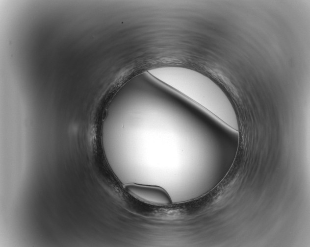 X0000096670260200802051015