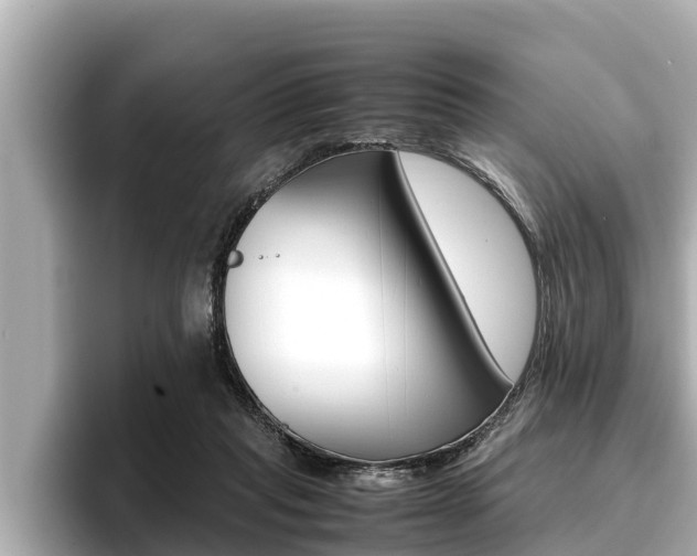 X0000096670261200802051016