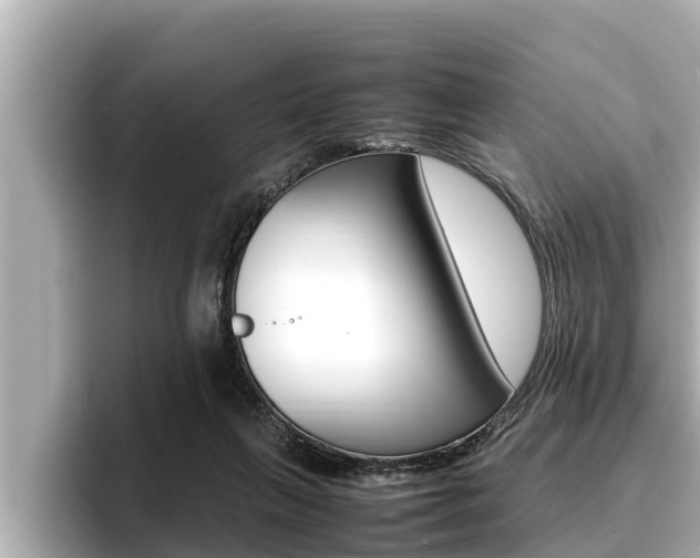 X0000096670263200802051016