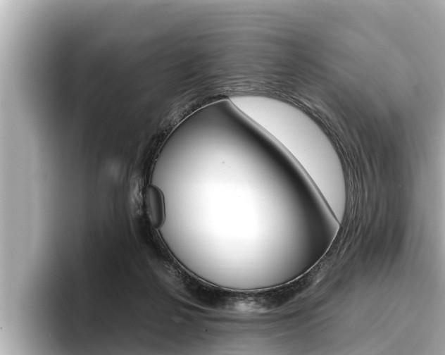 X0000096670264200802051016
