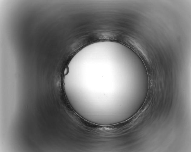 X0000096670265200802051016