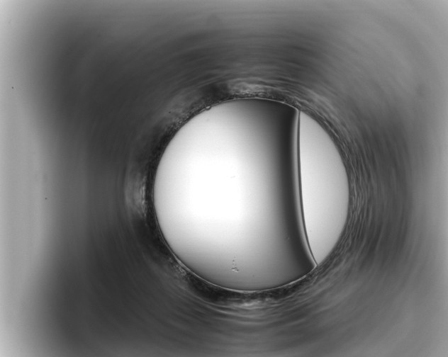 X0000096670267200802051016