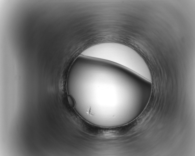 X0000096670268200802051016