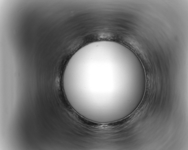 X0000096670269200802051016