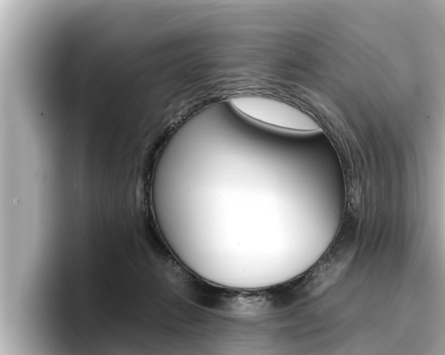 X0000096670270200802051016
