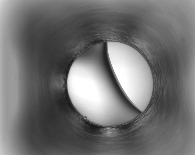 X0000096670273200802051016