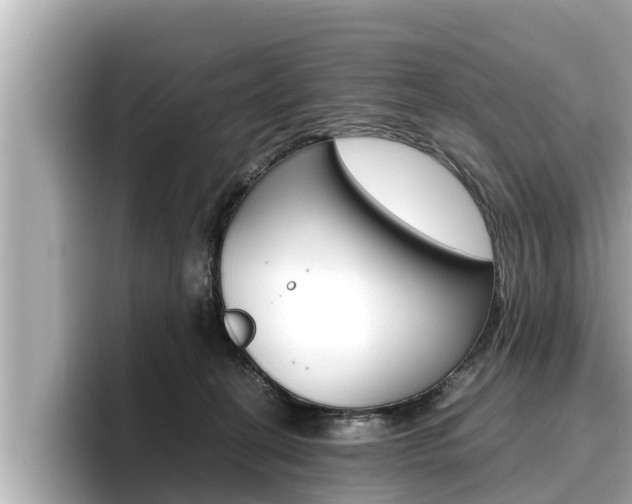 X0000096670274200802051016